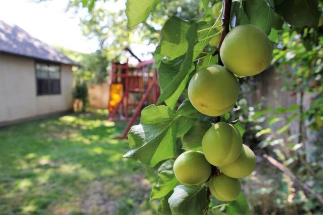 Experience Nirvana With Artwork Collections From Around The Globe Located In Lakewood Neighborhood In Se Boise Next To A Park, Minutes From Bown Crossing And The Boise River, 10 Minutes To Downtown, 4 Beds, Sleeps 8, Pets Welcome In Large Fenced In Y Exterior photo